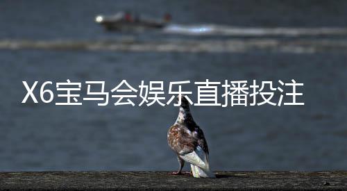 X6宝马会娱乐直播投注：揭秘高胜率玩家的实战技巧与策略