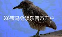 X6宝马会娱乐官方开户流程：轻松注册三步搞定畅享豪华游戏体验