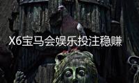 X6宝马会娱乐投注稳赚吗？资深玩家揭秘稳赢技巧与风险把控
