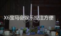 X6宝马会娱乐投注方便吗？资深玩家实测存取款与游戏体验