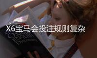 X6宝马会投注规则复杂吗？新手必看的玩法解析与技巧指南