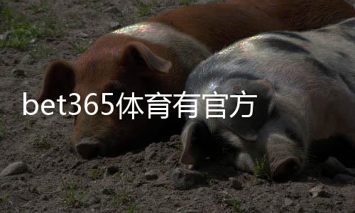 bet365体育有官方认证吗？官方资质、安全性与真伪辨别全攻略