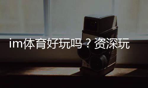 im体育好玩吗？资深玩家带你揭秘真实体验与技巧