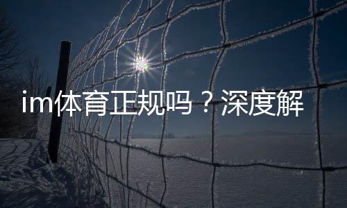 im体育正规吗?深度解析平台安全性与玩家真实体验