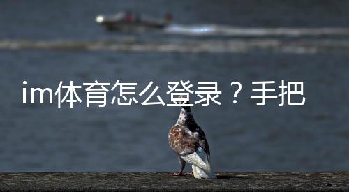 im体育怎么登录？手把手教你轻松进入游戏平台
