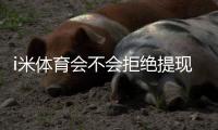 i米体育会不会拒绝提现？深度解析平台提款规则与到账时效